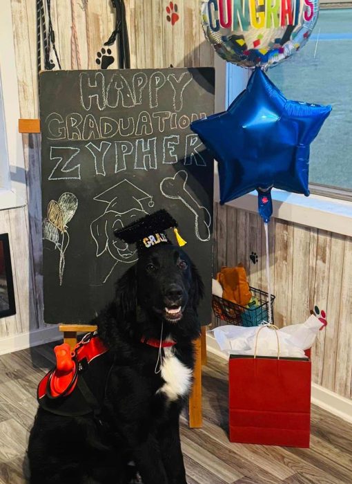 Zypher - Therapy Trainee