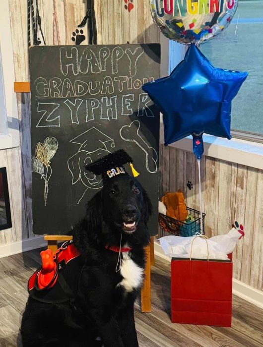 Zypher - Therapy Trainee